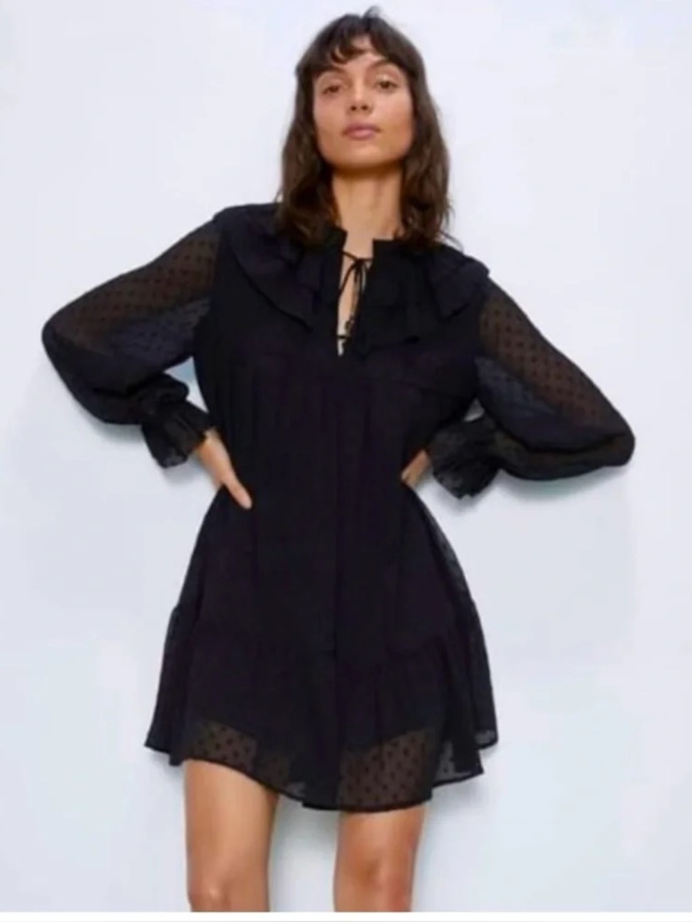 ZARA Dotted Mesh Mini Black Dress Sz S
